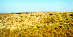 [stones in moorland]