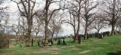 [graveyard and trees]