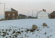 [sheep and houses in snow]