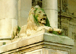 [A stone lion]